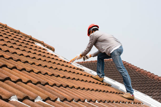 Best Hot Roofs  in Chelsea, MI