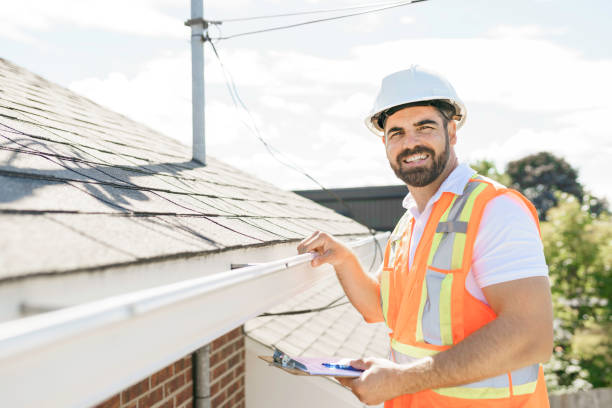 Best Roof Ventilation Installation  in Chelsea, MI