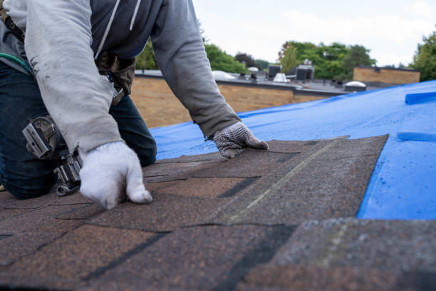 Best Green or Eco-Friendly Roofing Solutions  in Chelsea, MI