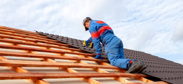 Best Roof Moss and Algae Removal  in Chelsea, MI