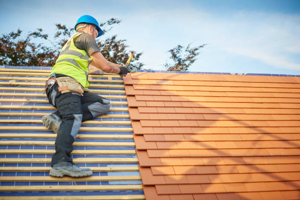 Best Metal Roofing Installation  in Chelsea, MI
